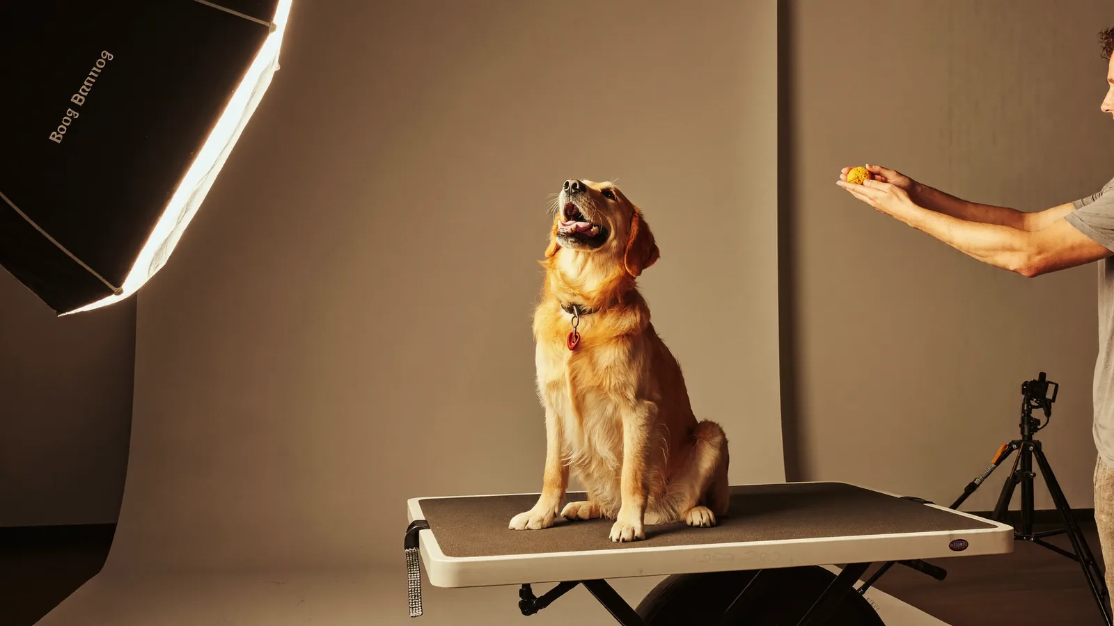 Instagram Ads for Photographers: The Playbook for Portrait Studios