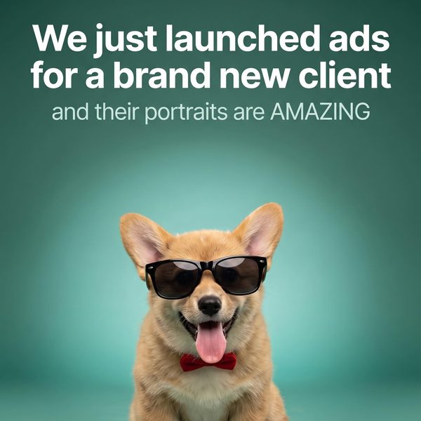Corgi wearing sunglasses and a bow tie on a teal studio backdrop, under a headline about new ads going live